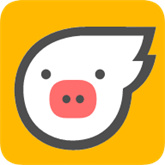 小飞猪直装免费版