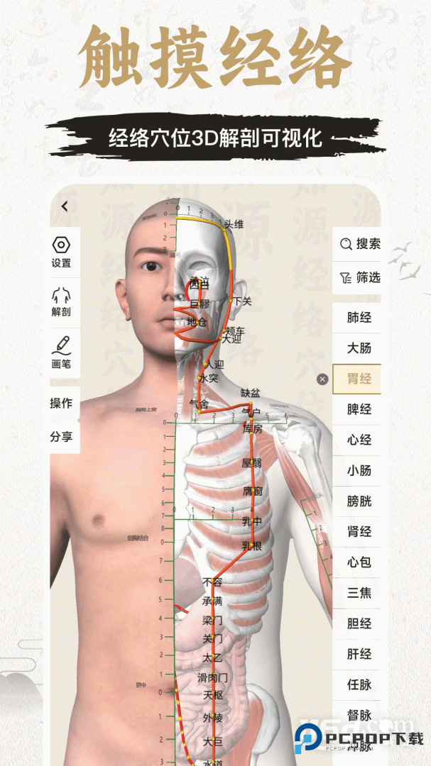 中济经络穴位 v3.7.1