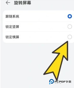 啵啵浏览器海外谷歌版