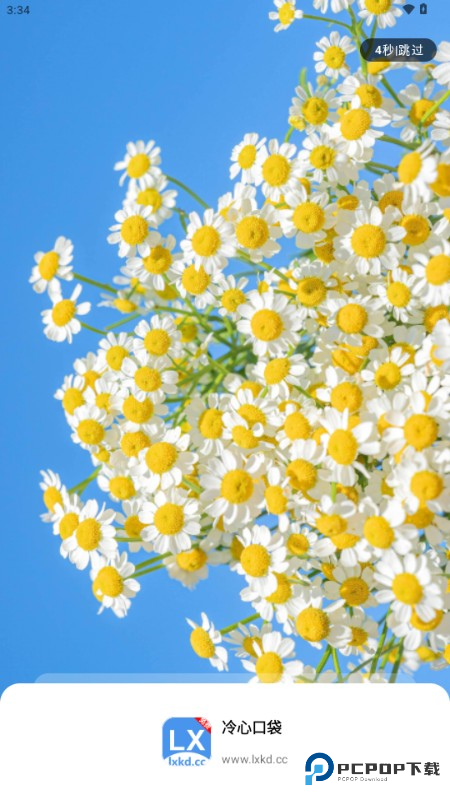 冷心口袋2025最新版本