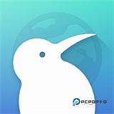 kiwi浏览器中文官方版