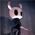 hollowknight内置mod版