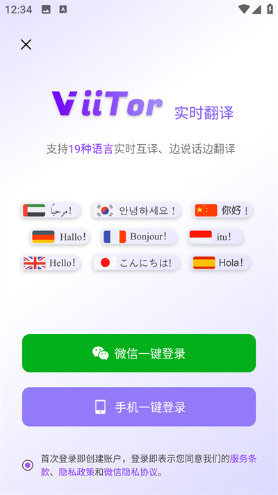 viitorAI翻译中文版