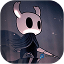 空洞骑士国际版