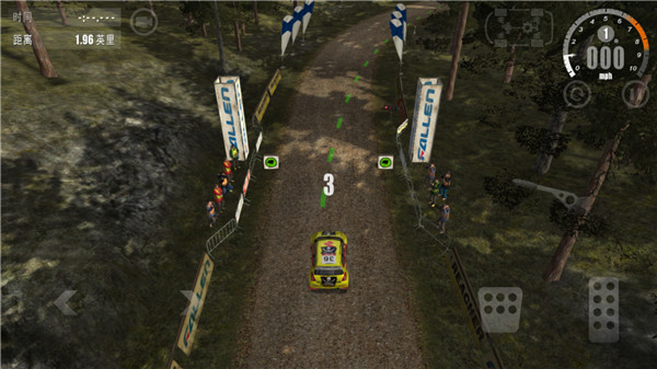 Rush Rally 3
