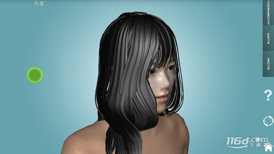 人体解剖学图集 v2025.11.28