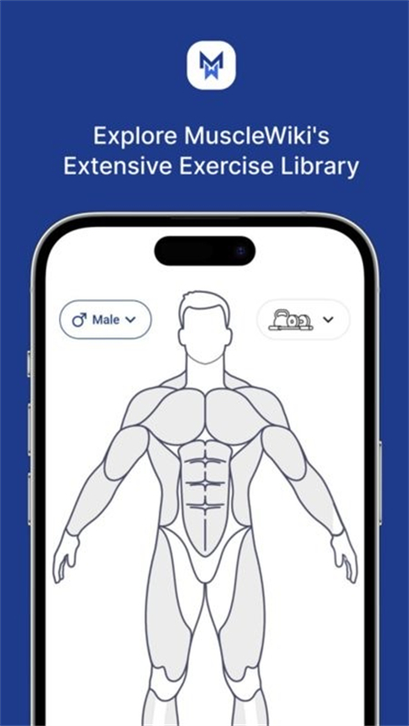 MuscleWiki手机版