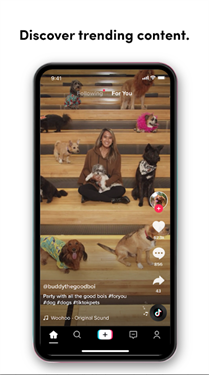 tiktok国际版抖音