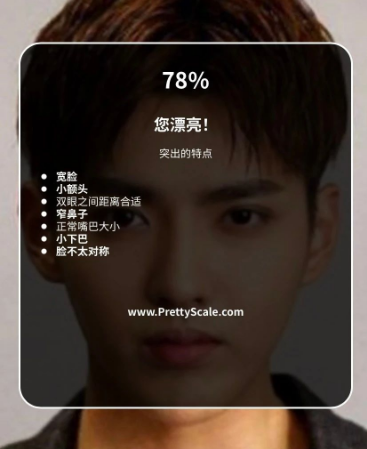 prettyscale颜值计算器