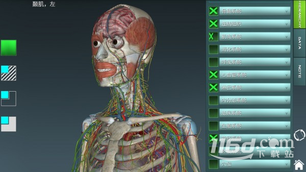 人体解剖学图集