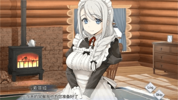 我与索菲亚的秘密