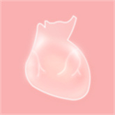 人体细胞模拟器