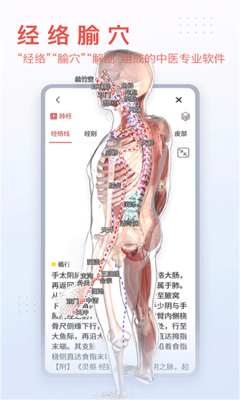 3dbody解剖
