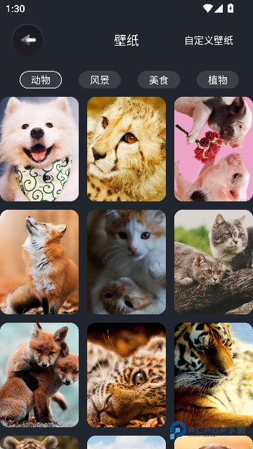 桌面时间悬浮钟