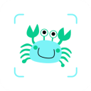 看鱼软件免费v2.7.1 安卓版