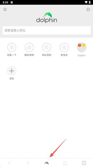 海豚浏览器国际版