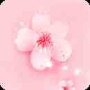 桃花直播平台下载直装