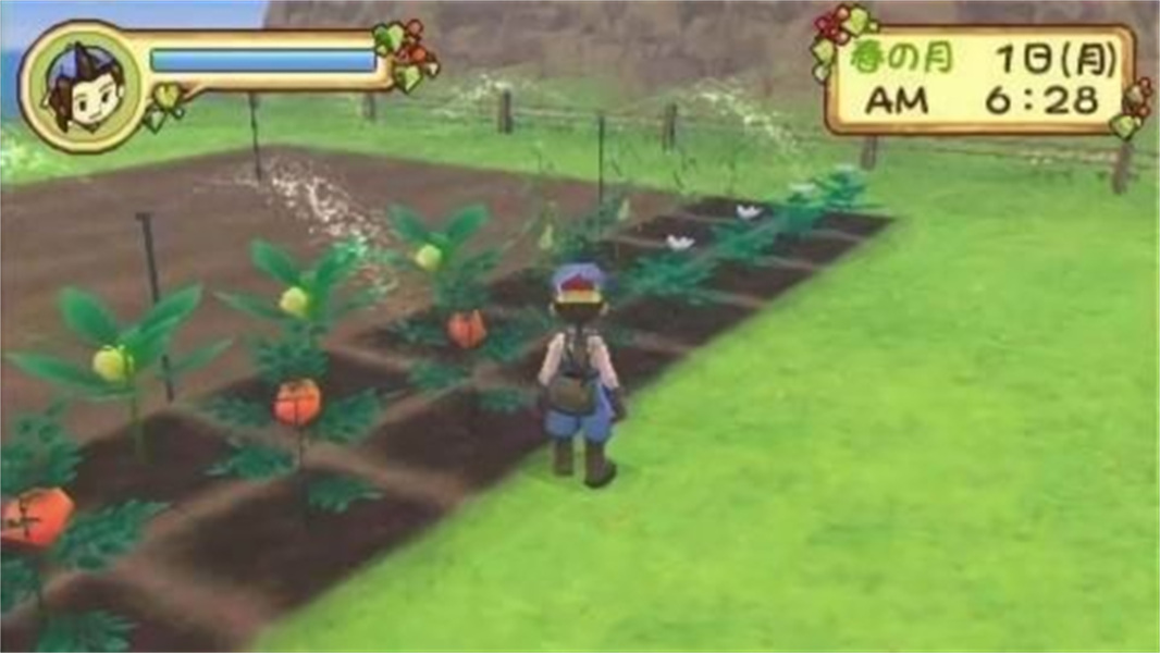 牧场物语蜜糖村和大家的心愿免费下载