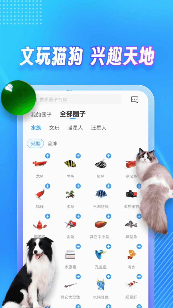 龙巅最新版v7.0.13