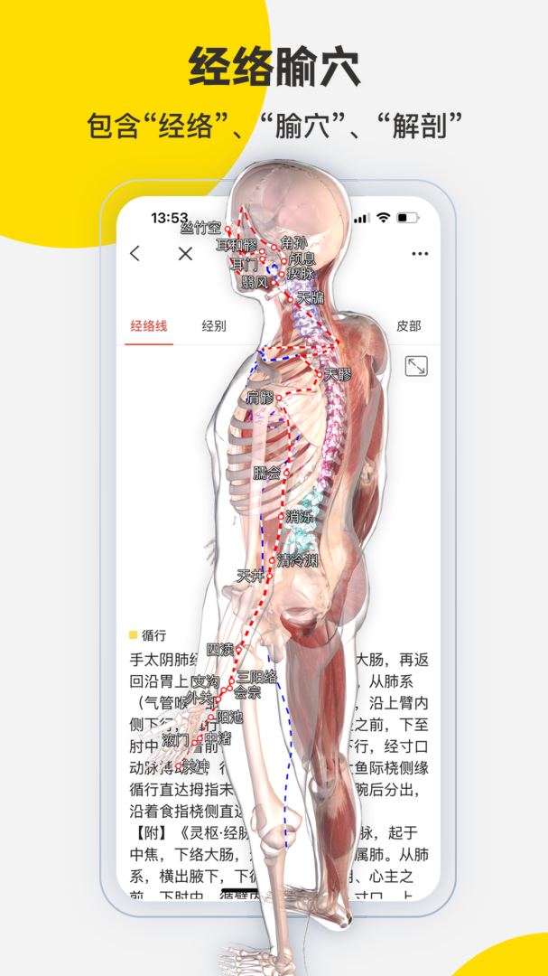 3DBody解剖最新版v8.8.72