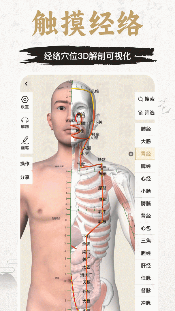中济经络穴位最新版v3.9.0