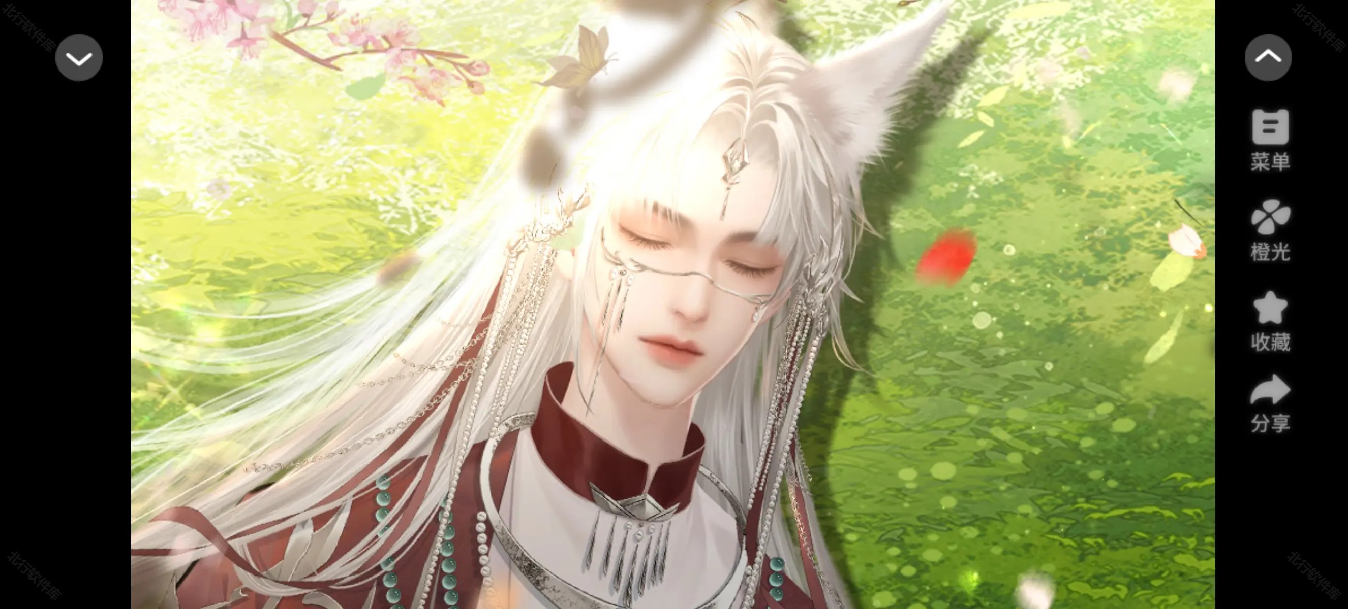 兽世冤种实录清软