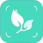 智能拍照识物最新版v1.3.3