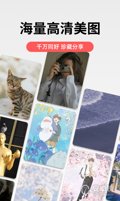 堆糖免费版下载直装