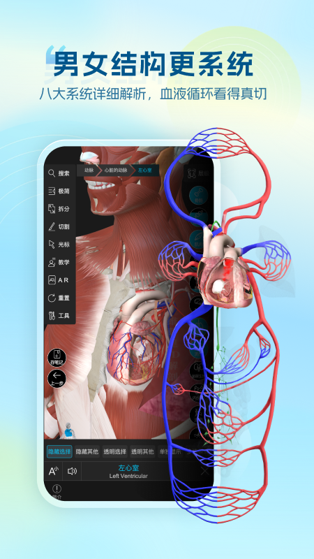 维萨里3D解剖免费版v6.9.4