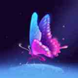 新花蝴蝶直播清爽版下载直装