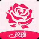 玫瑰直播平台下载直装