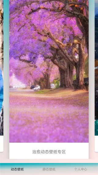 爱动态壁纸app