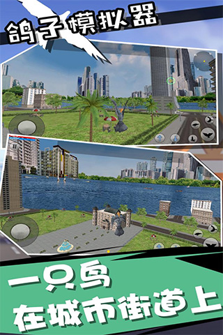 鸽子模拟器2026中文版免费下载