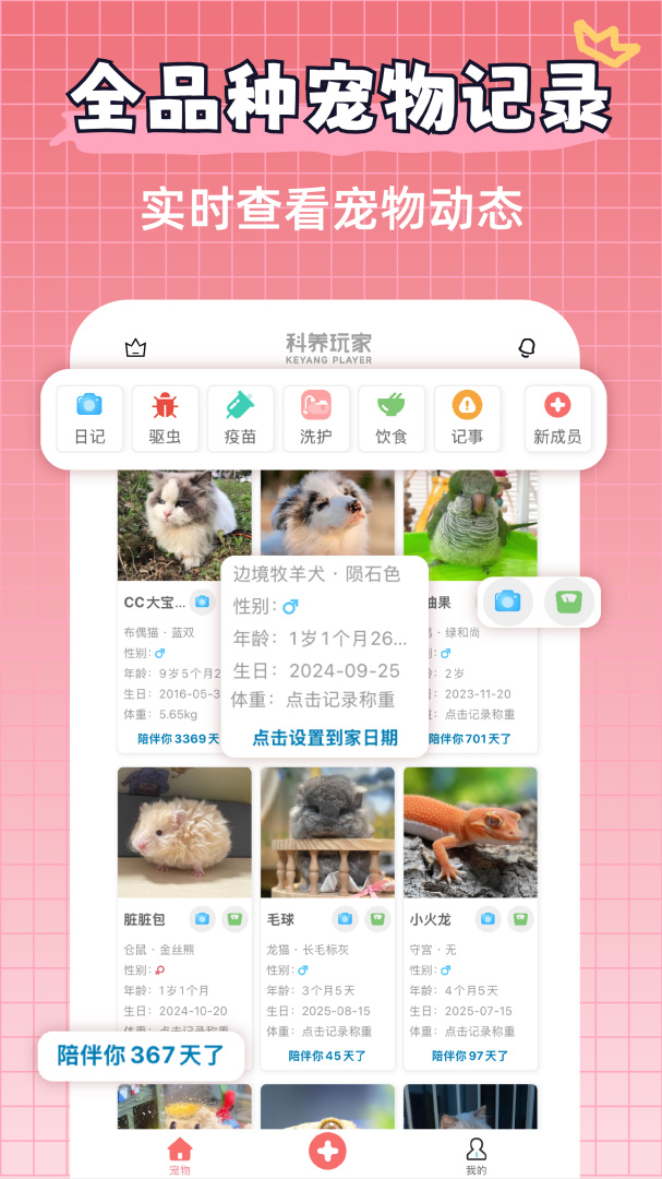 宠物王国最新版v5.2.0