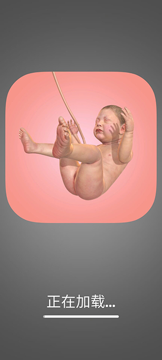 九个月游戏速度版 v1.41.6安卓版