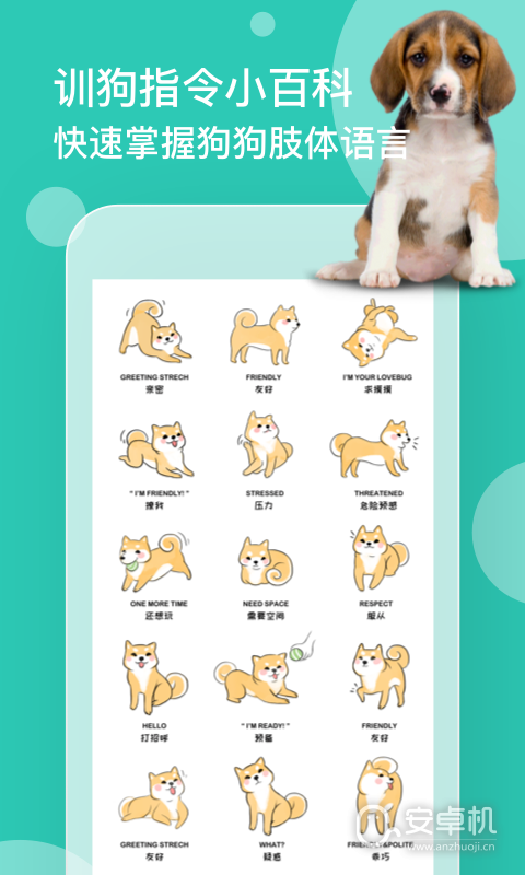 狗语翻译免费版下载直装