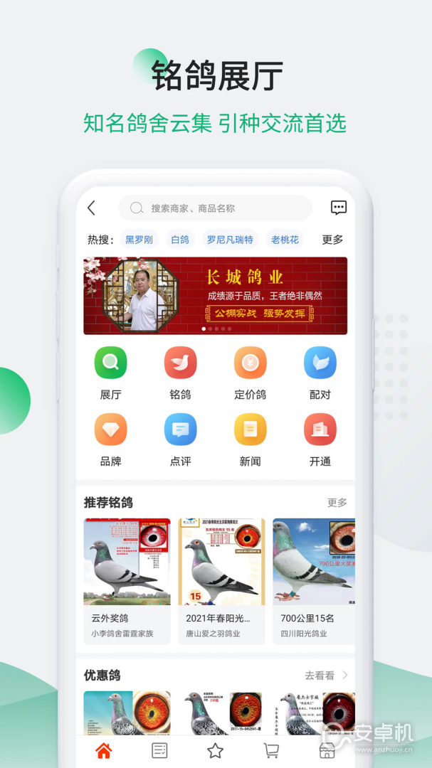 中国信鸽信息网免费版下载直装