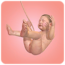 九个月游戏速度版 v1.41.6安卓版