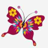 花蝴蝶直播破解版下载直装