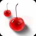 樱桃社区免费入口下载直装