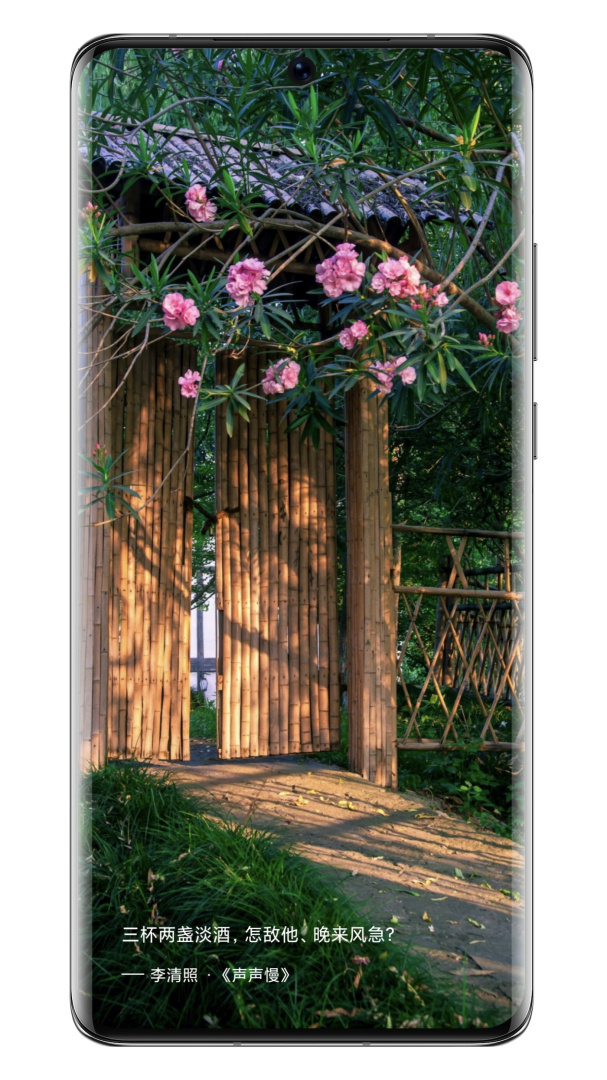 诗词之美最新版v3.2.0