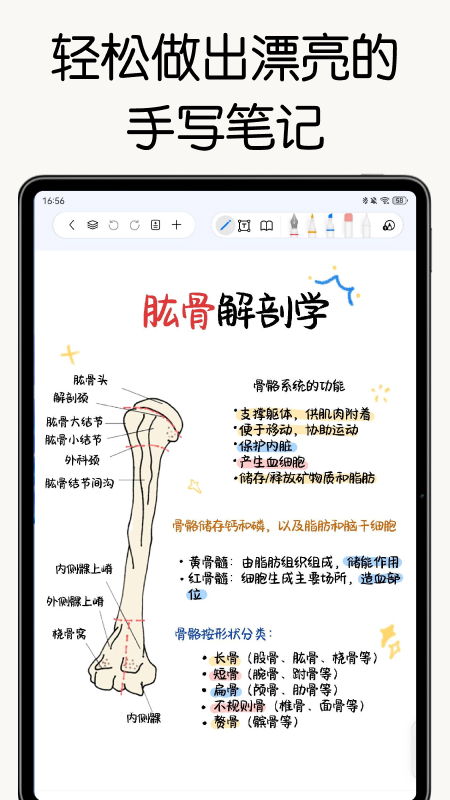 自由笔记最新版v2.38.1