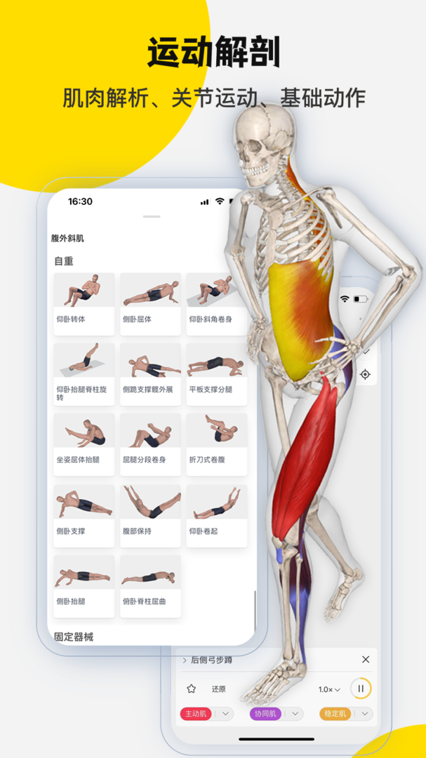 3DBody解剖最新版v8.8.72