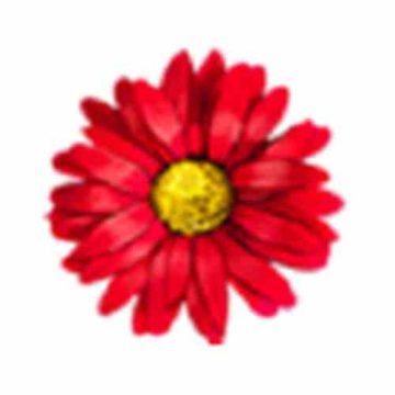 花蕊直播免付费版下载直装