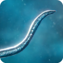 孢子模拟器最新版 v56.20安卓版