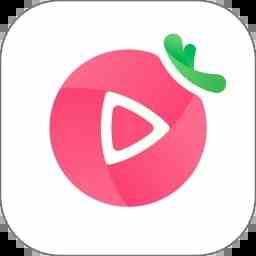 番茄直播下载直装