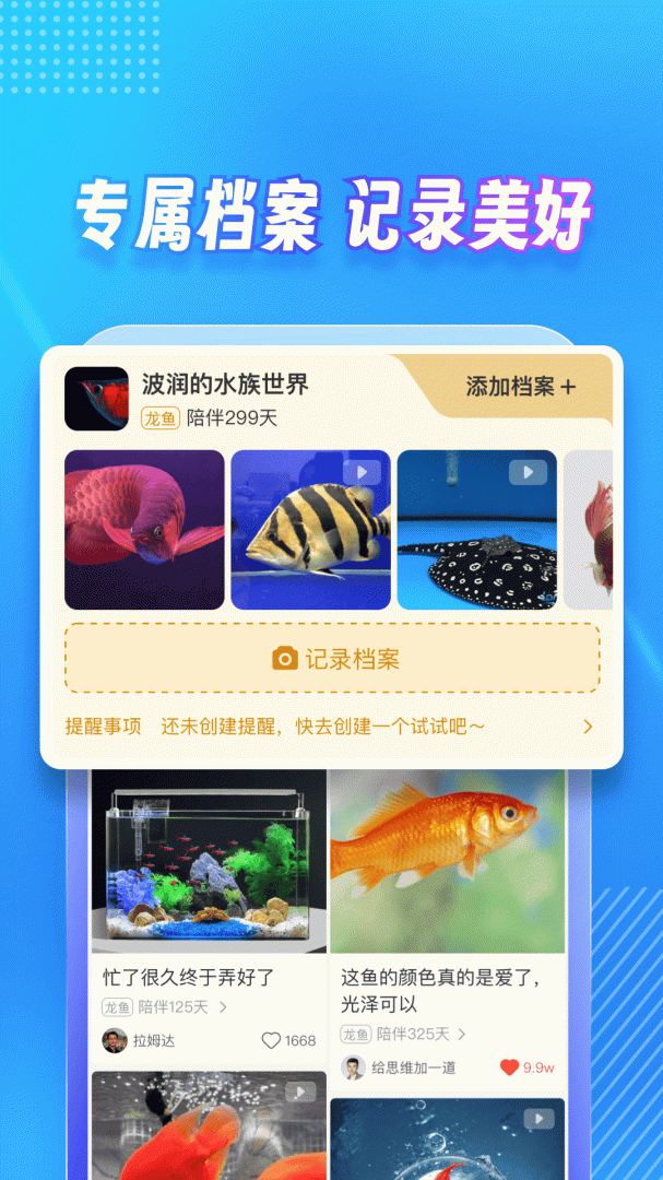龙巅最新版v7.0.13