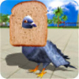 鸽子模拟器2026中文版免费下载