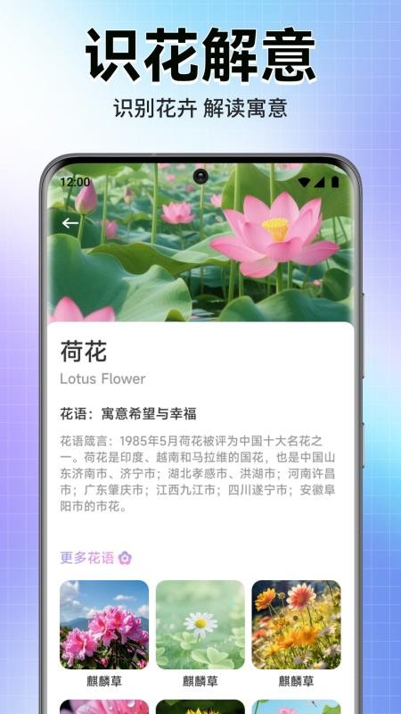 轻漫岛时光手机版