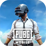 PUBGM国际服免费下载
